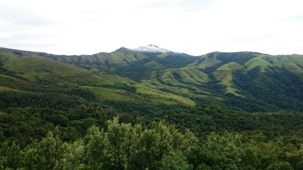 Greenwood Resort Chikmagalur Exterior photo